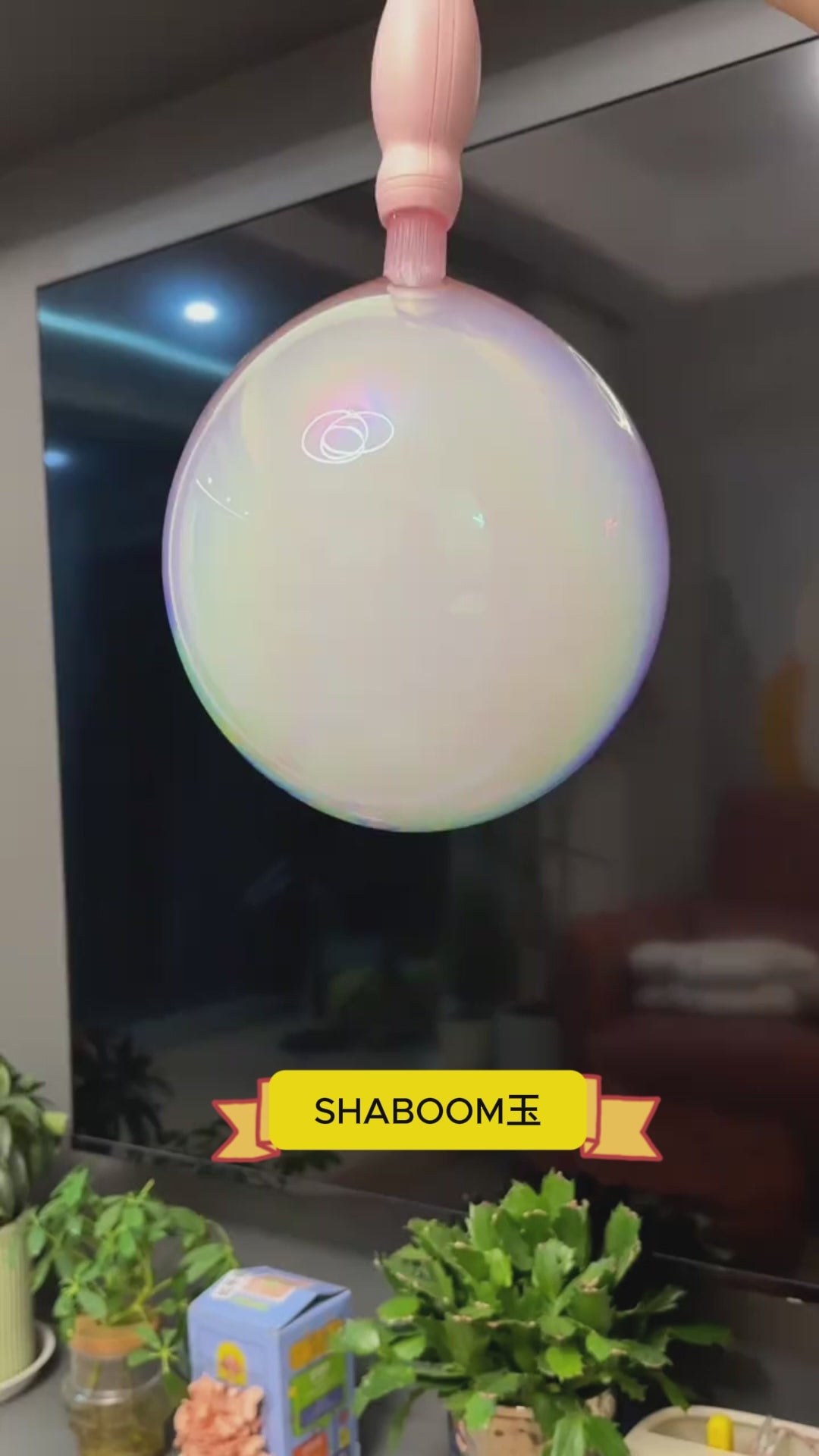 Shaboom玉 今春の最新作、登場！